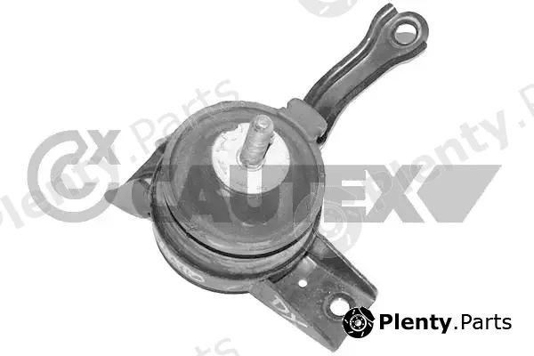 Cautex 769613 — Mounting, engine