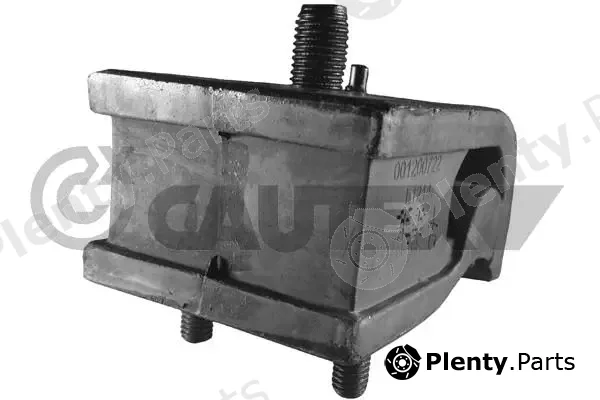 Cautex 460037 — Mounting, engine