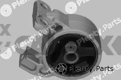 Cautex 769603 — Mounting, engine