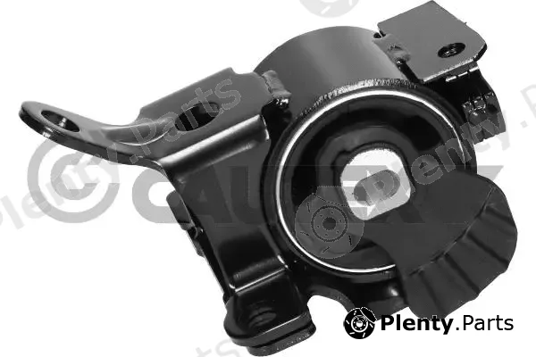 Cautex 774640 — Mounting, engine