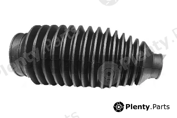 Cautex 080110 — Bellow, steering