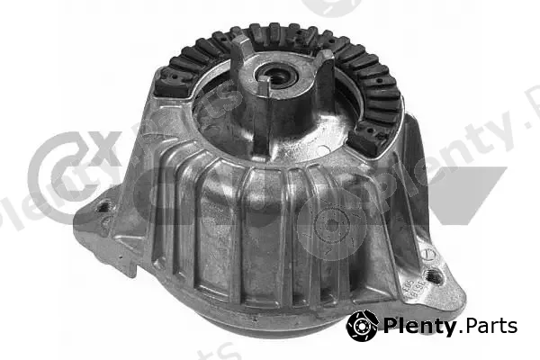 Cautex 181102 — Mounting, engine