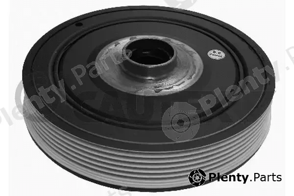 Cautex 020954 — Belt Pulley, crankshaft