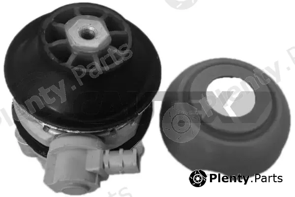 Cautex 756508 — Mounting, engine