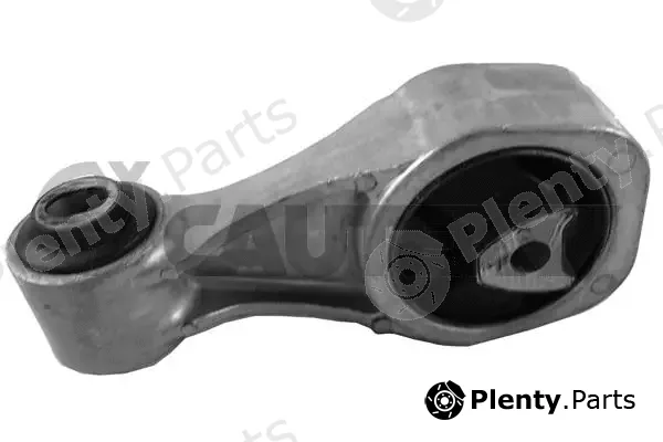 Cautex 753563 — Mounting, engine