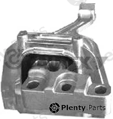 Cautex 758177 — Mounting, engine