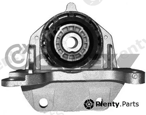 Cautex 756110 — Mounting, engine