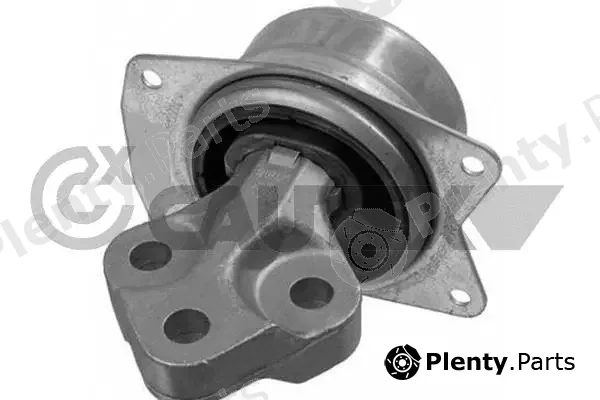 Cautex 756291 — Mounting, engine