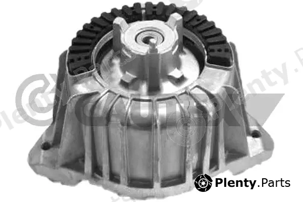 Cautex 774643 — Mounting, engine