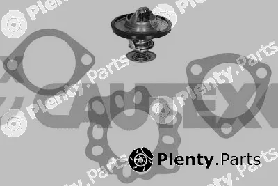 Cautex 770193 — Thermostat, coolant
