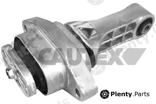 Cautex 760236 — Mounting, engine