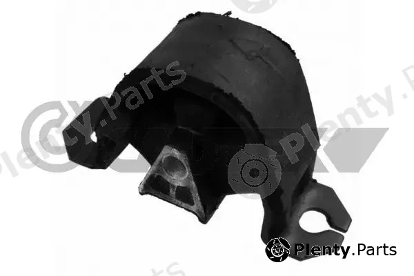 Cautex 480096 — Mounting, engine