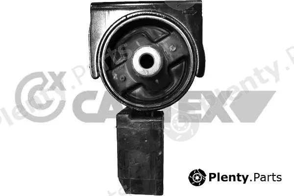 Cautex 769437 — Mounting, engine