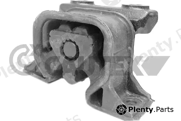Cautex 753513 — Mounting, engine