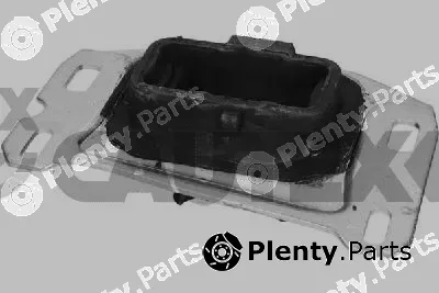 Cautex 771953 — Mounting, engine