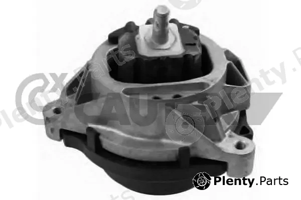 Cautex 759281 — Mounting, engine