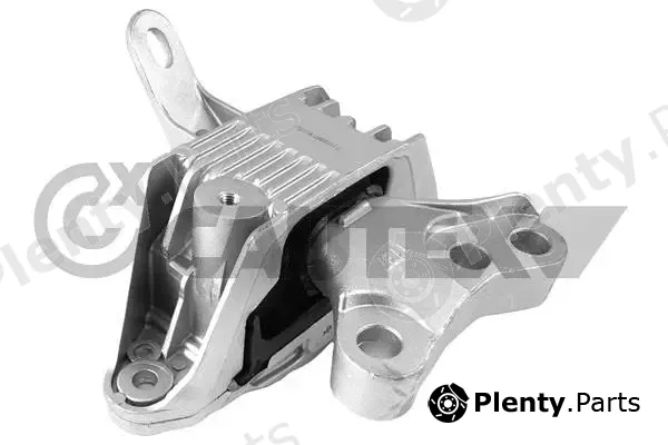 Cautex 756482 — Mounting, engine