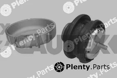 Cautex 774626 — Mounting, engine