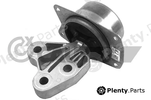 Cautex 756287 — Mounting, engine