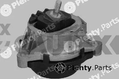 Cautex 775183 — Mounting, engine