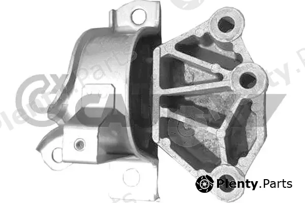 Cautex 771464 — Mounting, engine