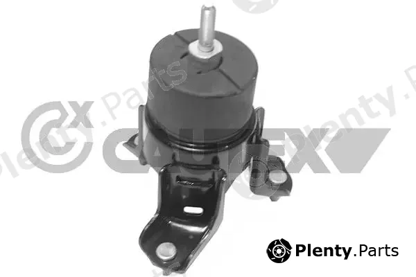 Cautex 760358 — Mounting, engine