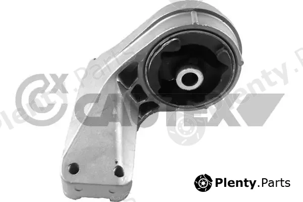 Cautex 759779 — Mounting, engine