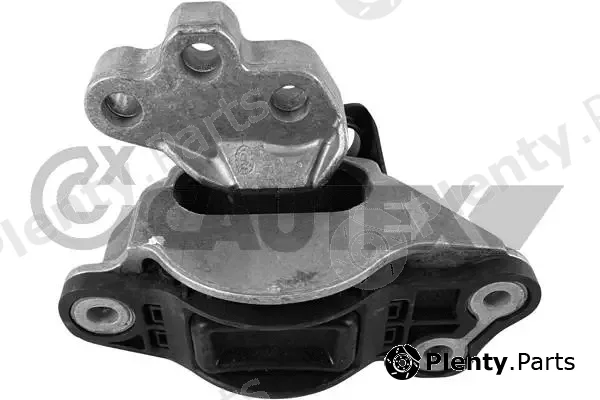 Cautex 759079 — Mounting, engine