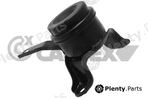 Cautex 760554 — Mounting, engine