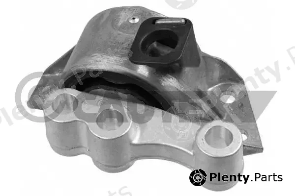 Cautex 756541 — Mounting, engine