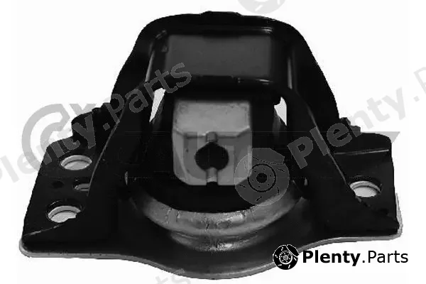 Cautex 020525 — Mounting, engine
