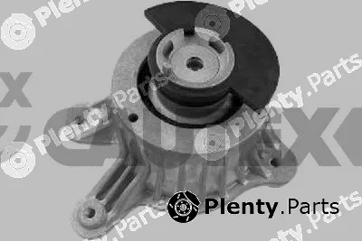 Cautex 775568 — Mounting, engine