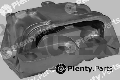 Cautex 772015 — Mounting, engine