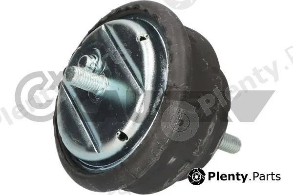 Cautex 776421 — Mounting, engine