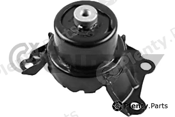 Cautex 769506 — Mounting, engine