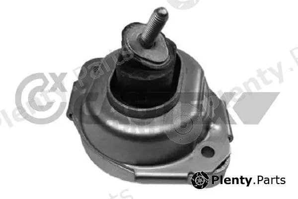 Cautex 756157 — Mounting, engine