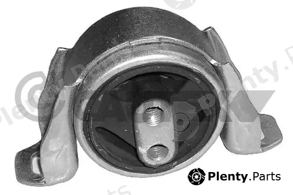 Cautex 081009 — Mounting, engine