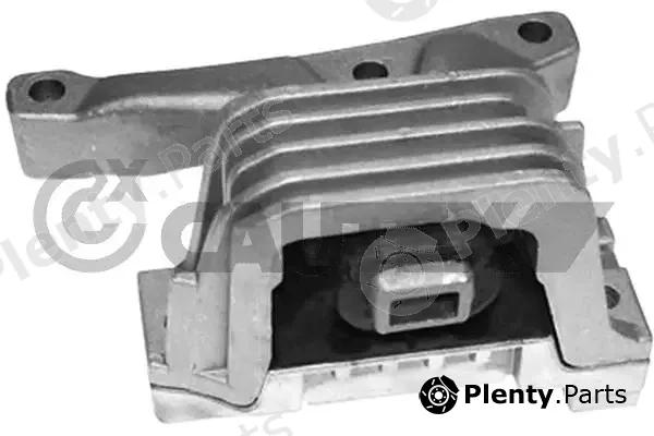 Cautex 756051 — Mounting, engine