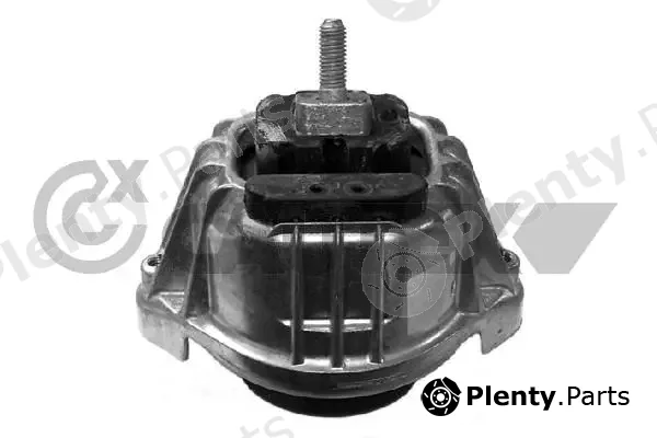 Cautex 201596 — Mounting, engine