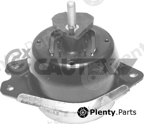 Cautex 756195 — Mounting, engine