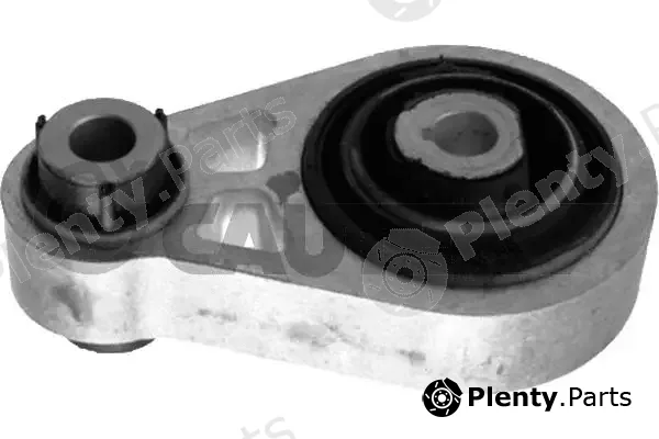 Cautex 774633 — Mounting, engine
