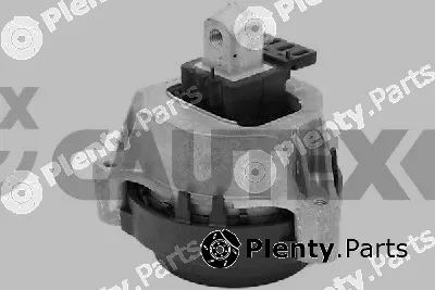 Cautex 772208 — Mounting, engine