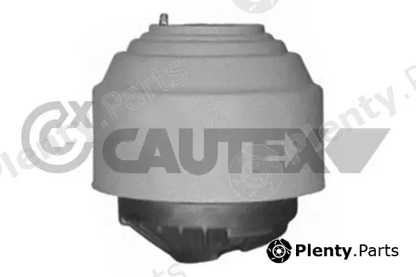 Cautex 756486 — Mounting, engine