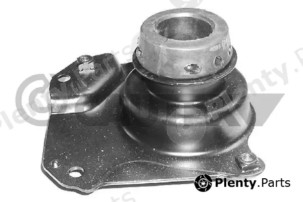 Cautex 461033 — Mounting, engine