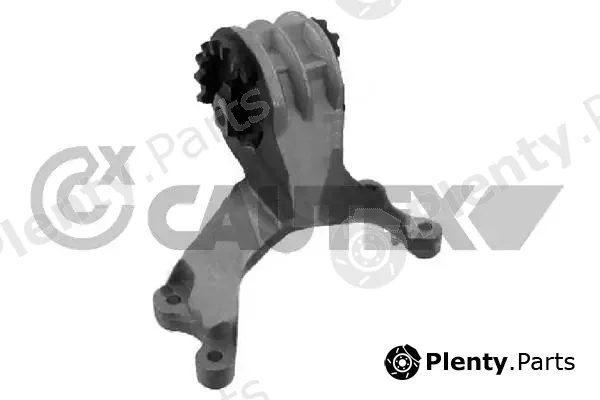 Cautex 756032 — Mounting, engine