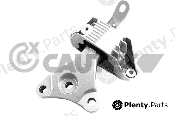Cautex 760590 — Mounting, engine