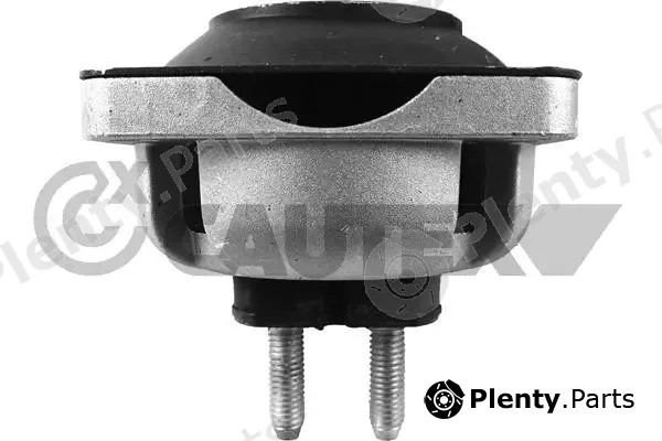 Cautex 767441 — Mounting, engine
