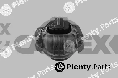 Cautex 775982 — Mounting, engine