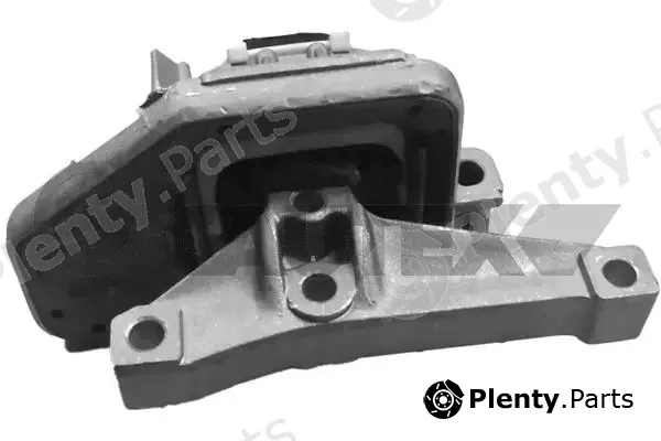Cautex 756005 — Mounting, engine