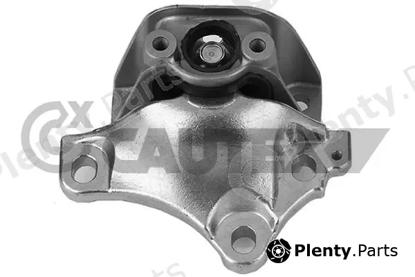 Cautex 756375 — Mounting, engine